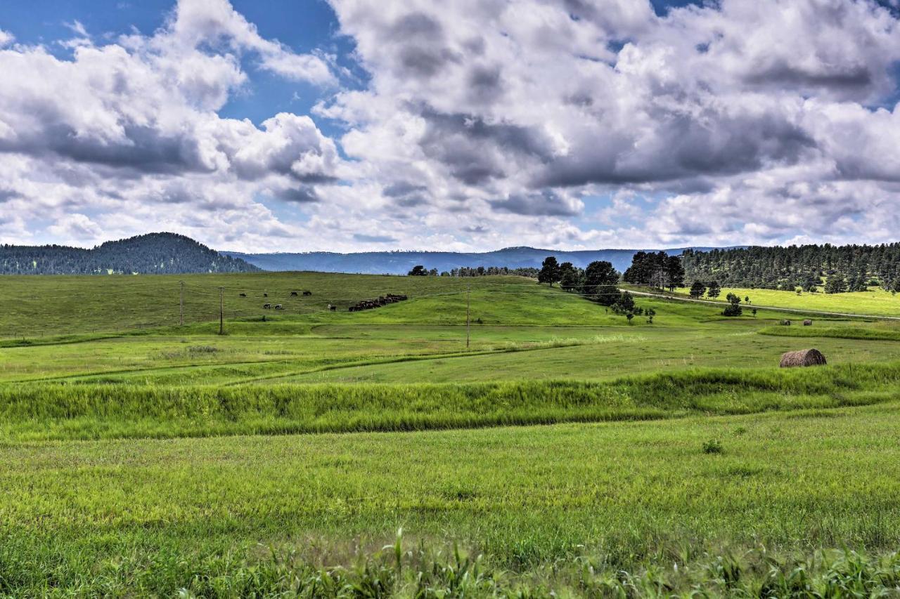Black Hills Retreat About 3 Mi To Atv Trails! Piedmont エクステリア 写真